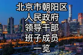 北京市朝阳区人民政府领导干部班子成员一览视频封面