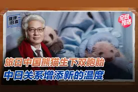 旅日中国熊猫生下双胞胎，日本民众再度欢腾，中日关系增添新温度视频封面