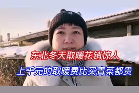 东北冬天取暖花销惊人，上千元的取暖费比买青菜还贵视频封面