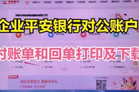 平安银行对公账户银行对账单和回单下载及打印视频封面