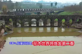 连播10.花溪河治理•花木世界将焕发第二春.续写百亿级市场新篇章视频封面