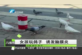 河南7岁女孩高烧抽搐住进ICU，“罪魁祸首”竟是鸽子视频封面