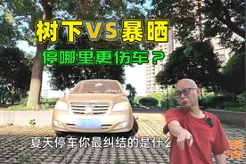 夏天车子停树下和太阳下暴晒，哪种更伤车？别纠结了，我试给你看