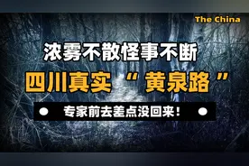 浓雾不散怪事不断，四川真实“黄泉路”，专家前去差点没回来！视频封面