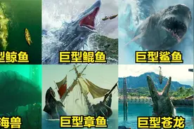 这六只海洋巨型动物，你觉得哪个更厉害？巨型鲸鱼尾巴能推翻大船