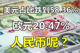 最新全球储备货币占比：美元跌到58.36%，欧元20.47%，人民币呢？视频封面