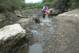 小伙发现水坑里有动静，徒手把3立方水舀干后，抓鱼过瘾了视频封面