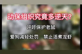 呼吁保护老鼠，爱狗减轻处罚，禁止活煮龙虾，动保组织究竟多逆天