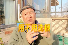 收到盆栽绣球花苗，要不要“洗根”？绣球园艺人经验谈视频封面
