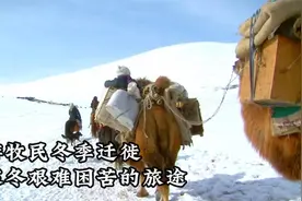 蒙古游牧民冬季迁徙，艰难的长途跋涉之旅！视频封面