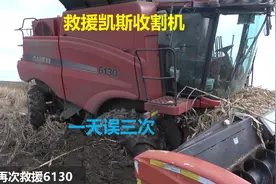 凯斯收割机收玉米一天误三次，一台大马力拽不出来那就再来一台视频封面