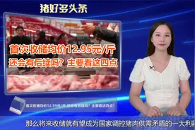 猪肉收储均价12.95元/斤,还会有后续吗？主要看这四点！视频封面