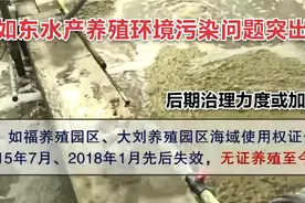 江苏生态环境厅：如东水产养殖环境污染突出，后期治理力度或加大视频封面