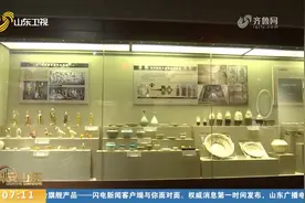 别错过！元代济南王张荣家族墓地等最新考古成果在济南考古馆展出视频封面