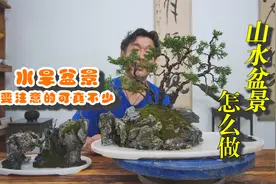 山水盆景怎么做？动手是关键！跟着视频动手做一盆属于你的山水吧视频封面