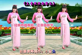经典戏曲舞蹈《天仙配》夫妻双双把家还，柔美大气正背面教学