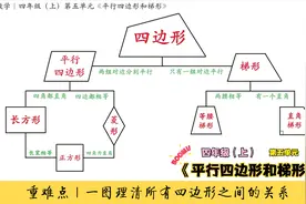 重难点｜一图弄清所有四边形之间的关系【四年级（上）第五单元】视频封面