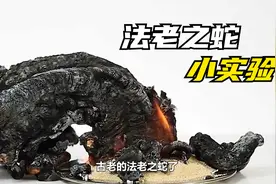 100个在家就能做的儿童科学小实验，从小培养孩子的动手能力！视频封面