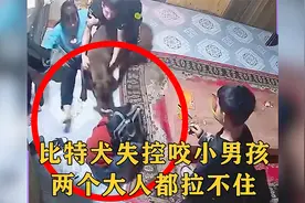 监控下的一幕，比特犬失控咬小男孩，两个大人拼命都拉不住！视频封面