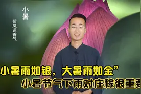 节气俗语：“小暑雨如银，大暑雨如金”小暑节气下雨对庄稼很重要视频封面