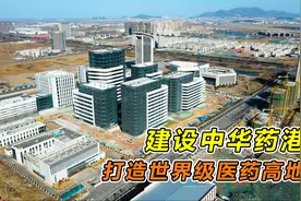 建设中华药港，打造世界级医药高地，连云港未来最具发展潜力片区视频封面
