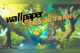 （wallpaper手机版）全网最详细的安装教程。“手机版壁纸引擎”