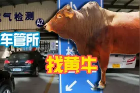 小伙开着十年老车带你们去车管所找黄牛？你猜他找到了吗视频封面