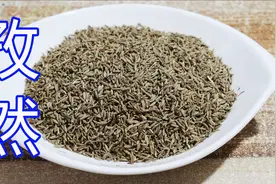 大厨揭秘香料知识，第十九集“孜然”，干货不容错过，建议收藏视频封面