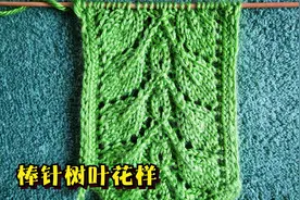 一款新的树叶花样，可把这个花放在中间，搭配其他花样来织毛衣