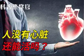 人没有心脏还能活吗？中国首批人工心脏移植者，可以活多久？视频封面