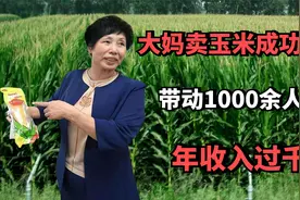 东北农村大妈卖玉米成功逆袭，带动1000余人就业，年收入过千万！视频封面
