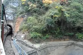 大山中的宝成铁路老牌绿皮惠民列车，6064次广元至宝鸡进略阳站。视频封面
