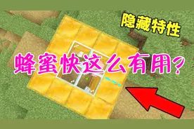 我的世界：蜂蜜块还有这些妙用？这七个特性你知道吗？快学起来