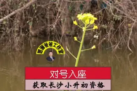 外地学员参加长沙小升初，五种方法轻松实现，外地学霸常用视频封面