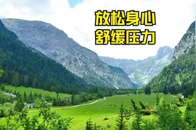 放松轻音乐#霹雳一声暴动——毛泽东视频封面