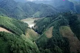明了堂：明了先生--福地有黑蚂蚁
