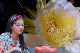 仙人球花也能吃？800元沙虫一炖，喝出沙县小吃的味道？视频封面