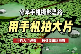 摄影师第一视角分享手机摄影思路，小白入门必看，教你简单玩摄影视频封面