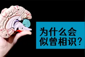 我们为什么会对某一场景有似曾相识的感觉？看完涨知识了