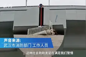 高架桥救小猫值得吗？交警：志愿者要先保证自身安全视频封面