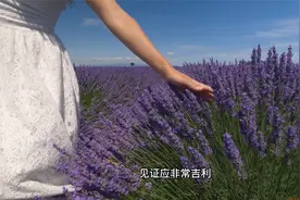 虎生肖 2023年接住“名”“利”两个贵人，财富非凡视频封面