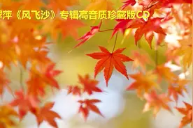 林翠萍《风飞沙》专辑高音质珍藏版CD视频封面