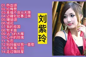 温柔女声：刘紫玲经典歌曲精选14首