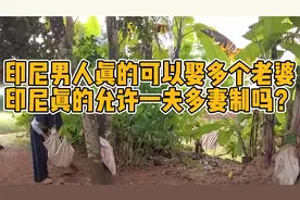 十八岁印尼女孩要和多个女孩共享一个老公，印尼真可以一夫多妻？视频封面