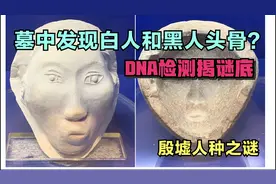 殷墟人种之谜：挖出白人头骨？DNA检测再看甲骨文，原来都是战俘