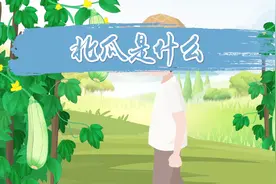 知道冬瓜南瓜西瓜，那么北瓜是什么？专家：营养很丰富视频封面