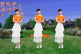 亲，下班了吗？请欣赏美舞《又见桃花开》舒缓您的疲劳视频封面