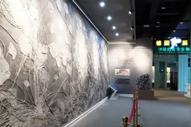 辽宁古生物博物馆，最大的恐龙有多少米？网格布朗氏菊石长啥样视频封面