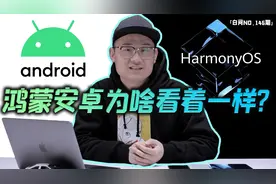 华为Nova8 Pro上手来了 明年流行中置挖孔？「白问146」视频封面
