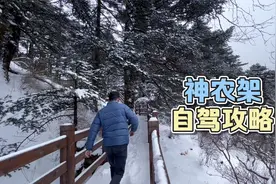 神农架自驾攻略，对自驾游非常友好！全部景点都玩一遍花费多少？视频封面